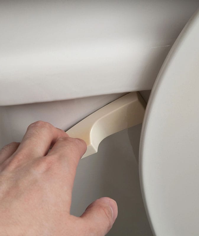 toilet does not flush